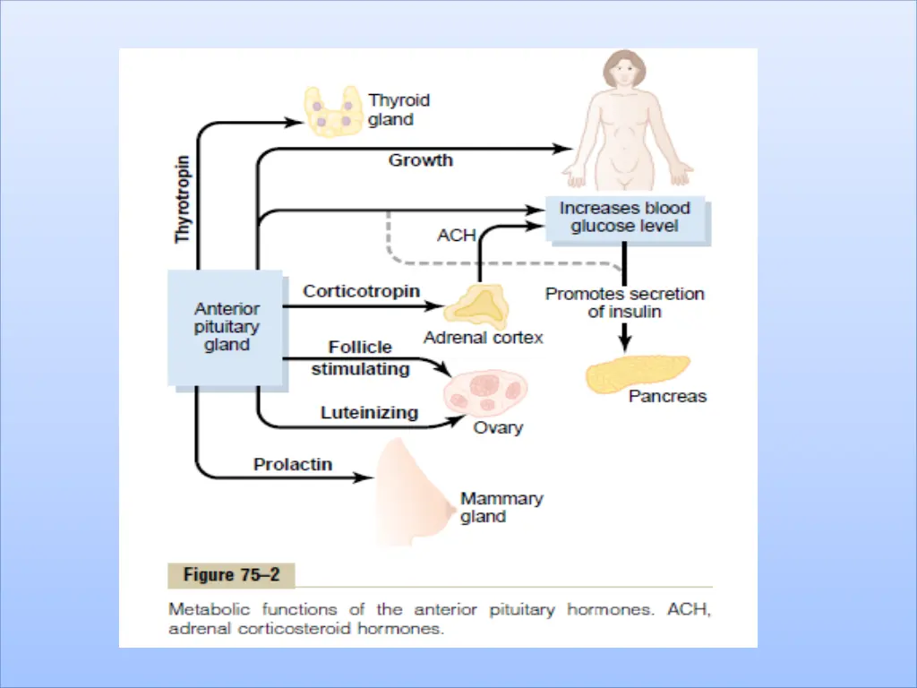 slide5