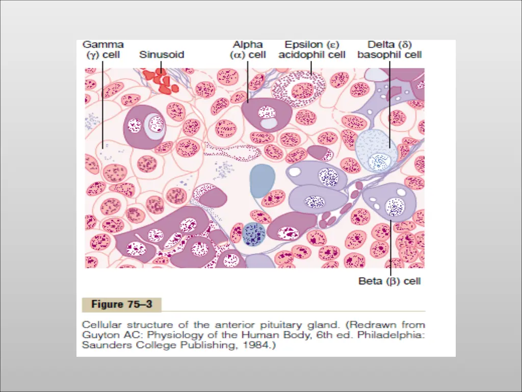 slide7
