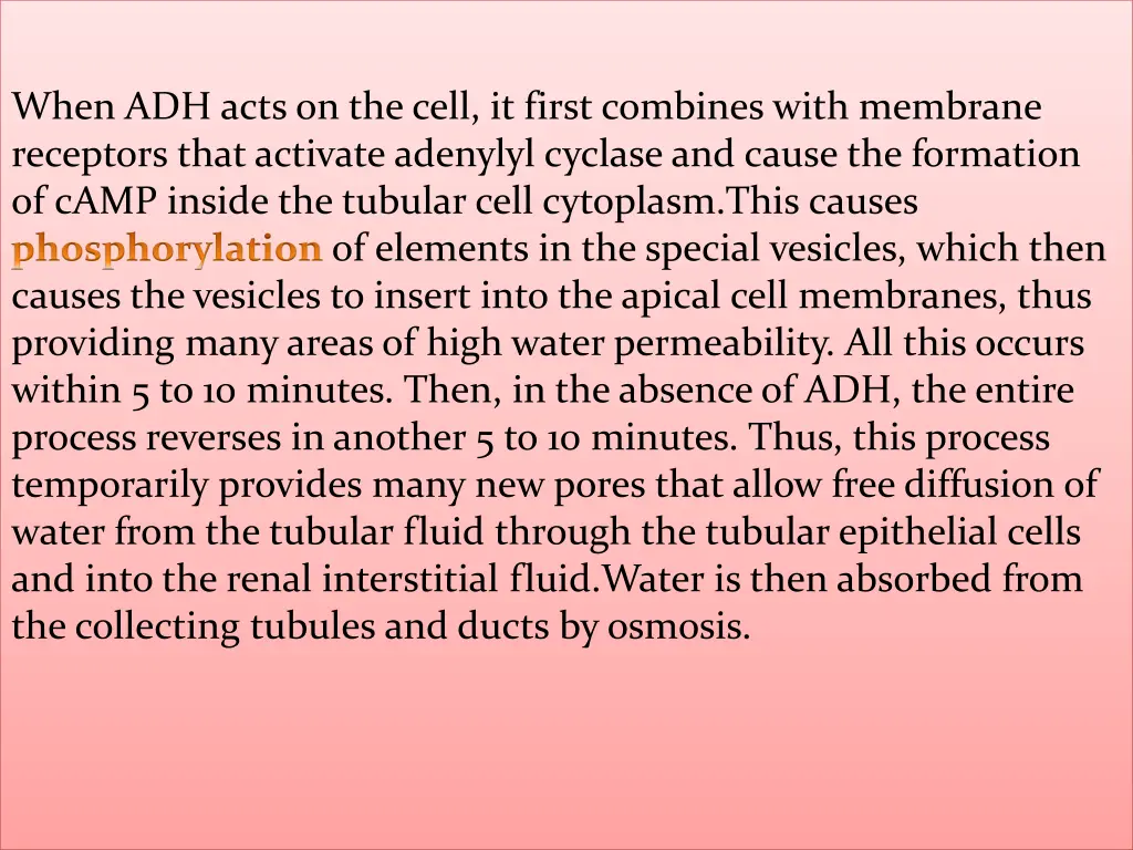 when adh acts on the cell it first combines with