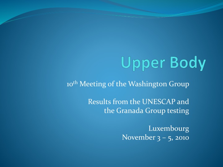 10 th meeting of the washington group