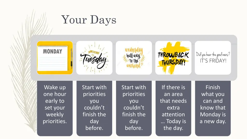 your days