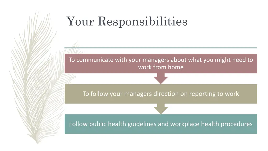 your responsibilities