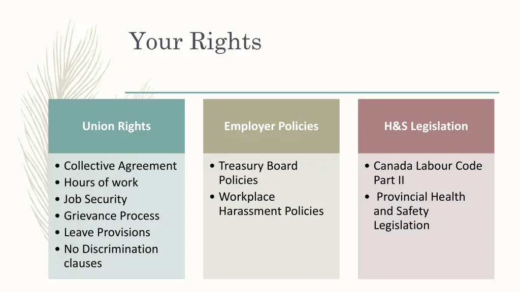your rights