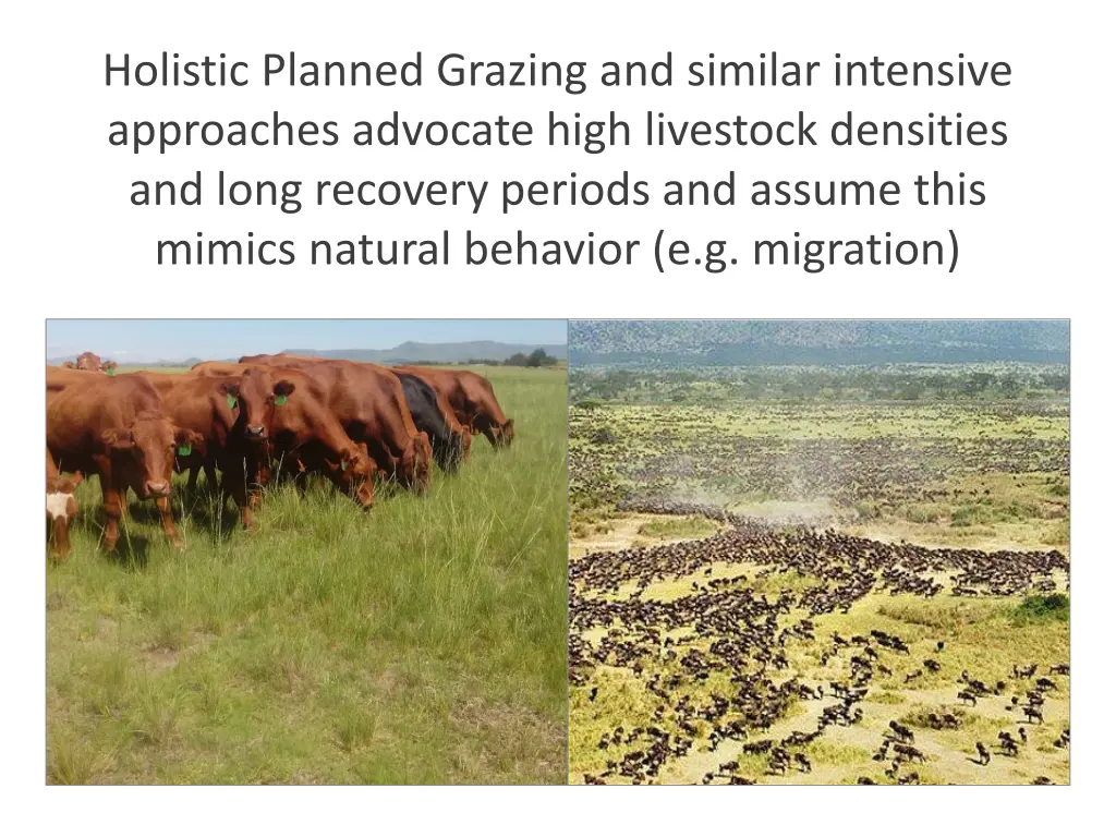 holistic planned grazing and similar intensive