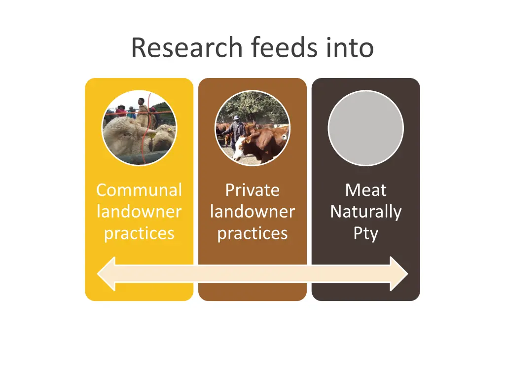 research feeds into