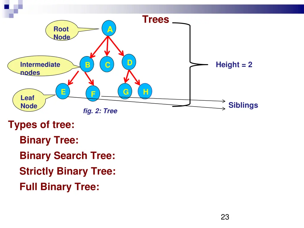 trees 1