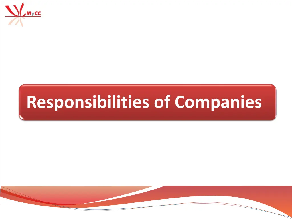 responsibilities of companies