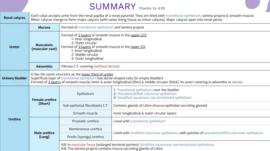 summary thanks to 439
