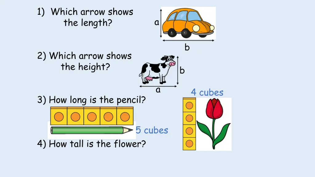 1 which arrow shows the length 1