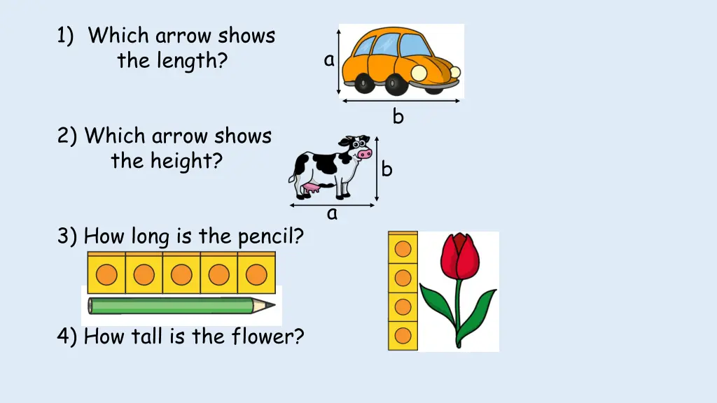 1 which arrow shows the length