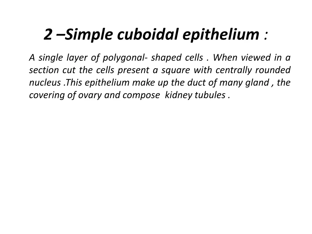 2 simple cuboidal epithelium