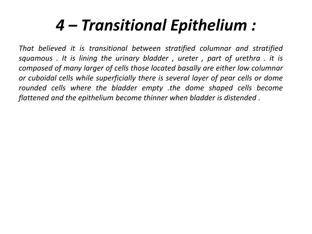 4 transitional epithelium