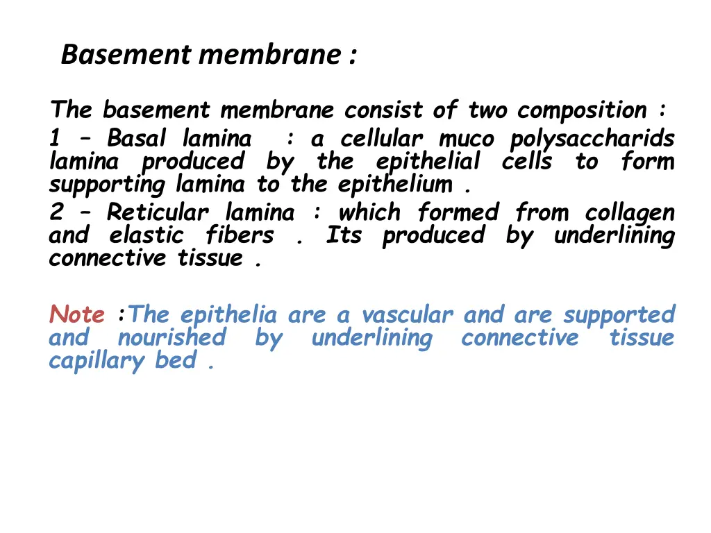 basement membrane