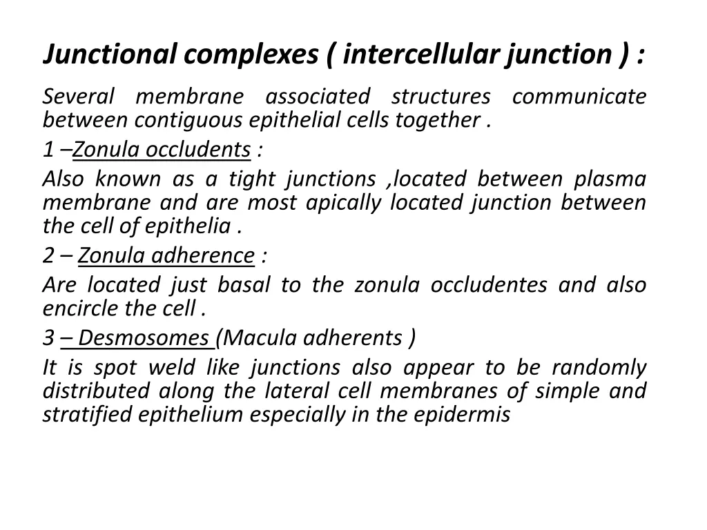 junctional complexes intercellular junction