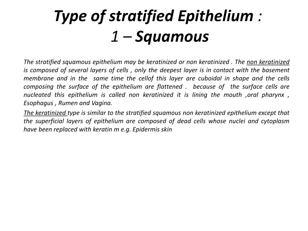 type of stratified epithelium 1 squamous