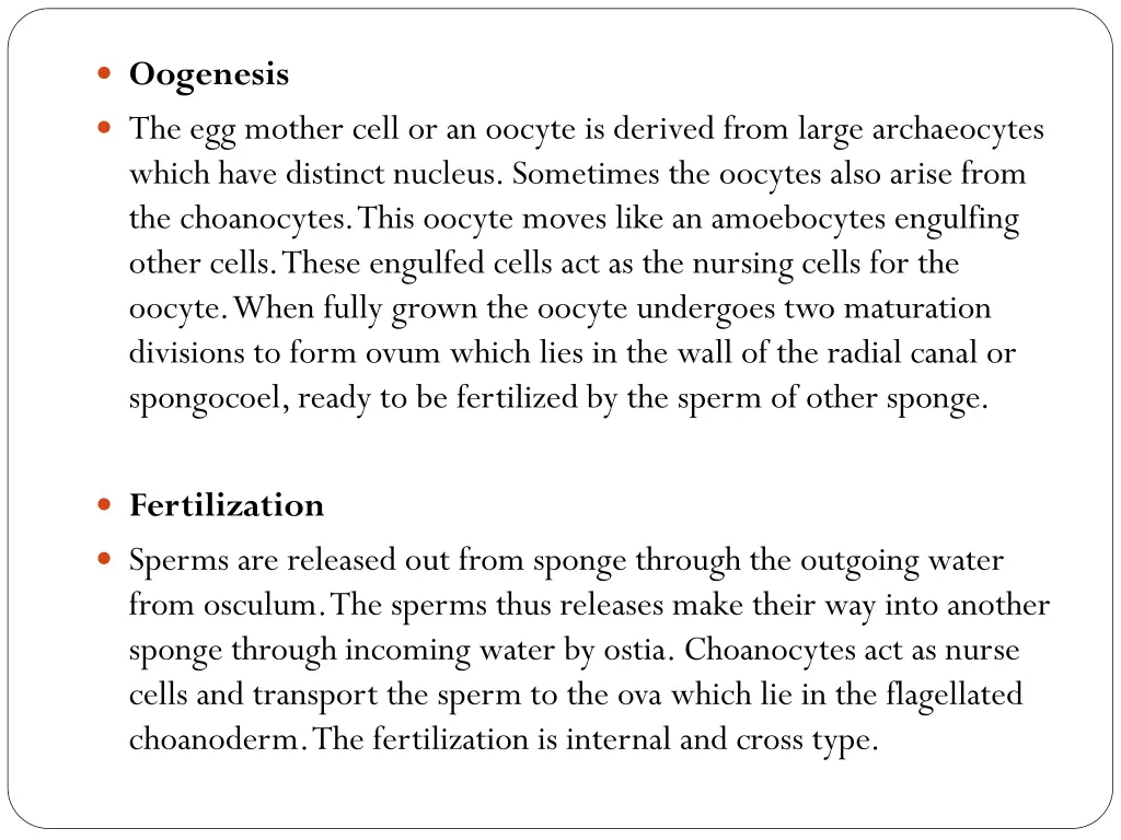 oogenesis the egg mother cell or an oocyte