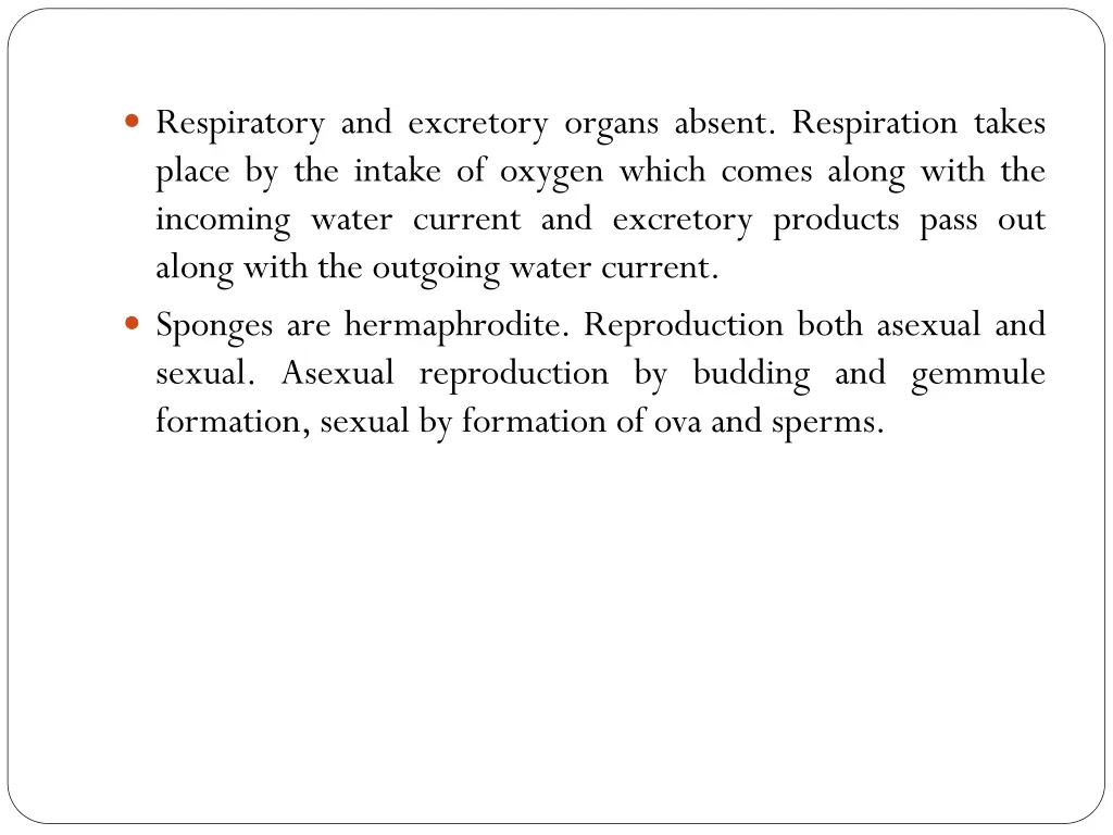 respiratory and excretory organs absent