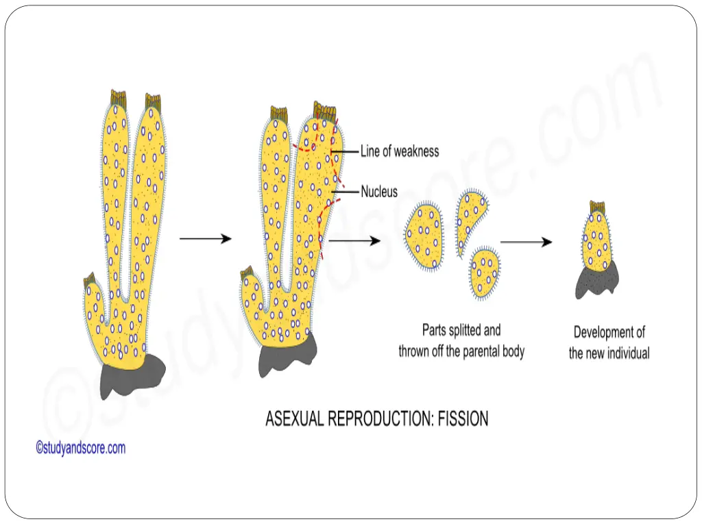slide12