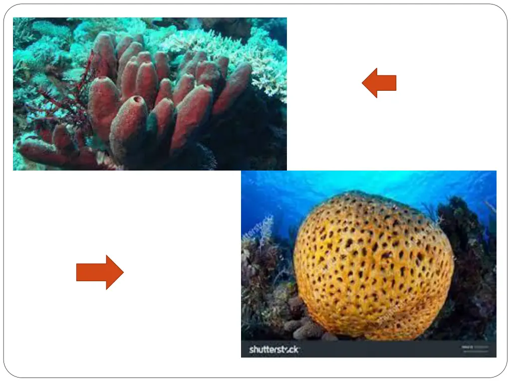 slide3
