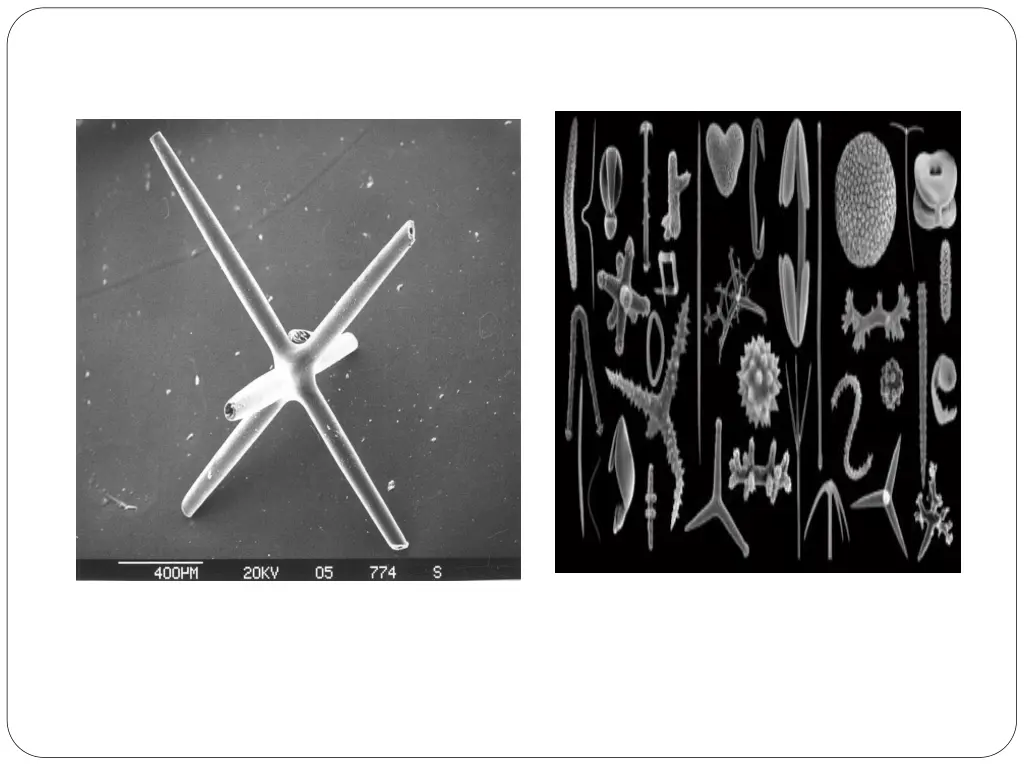 slide8