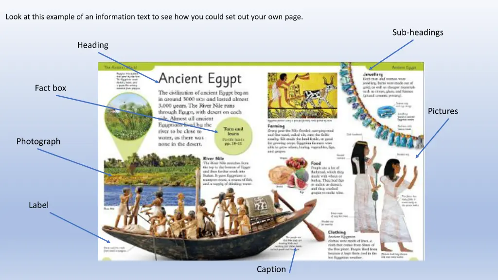 look at this example of an information text
