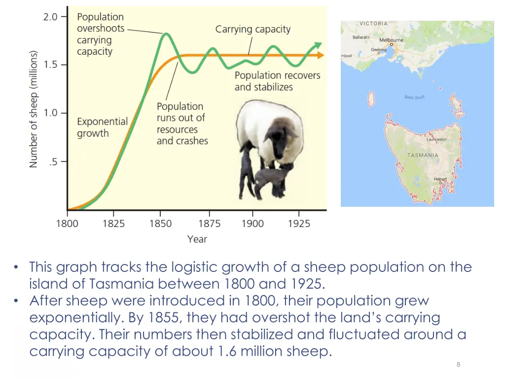 this graph tracks the logistic growth of a sheep