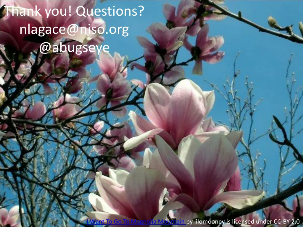 thank you questions nlagace@niso org @abugseye