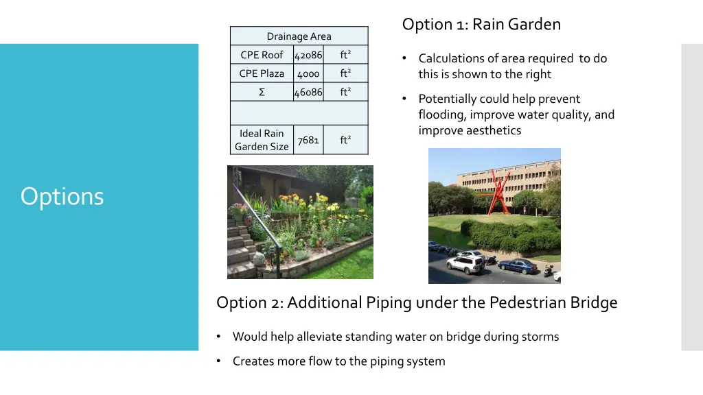 option 1 rain garden