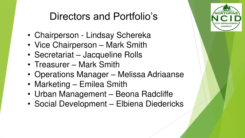 directors and portfolio s