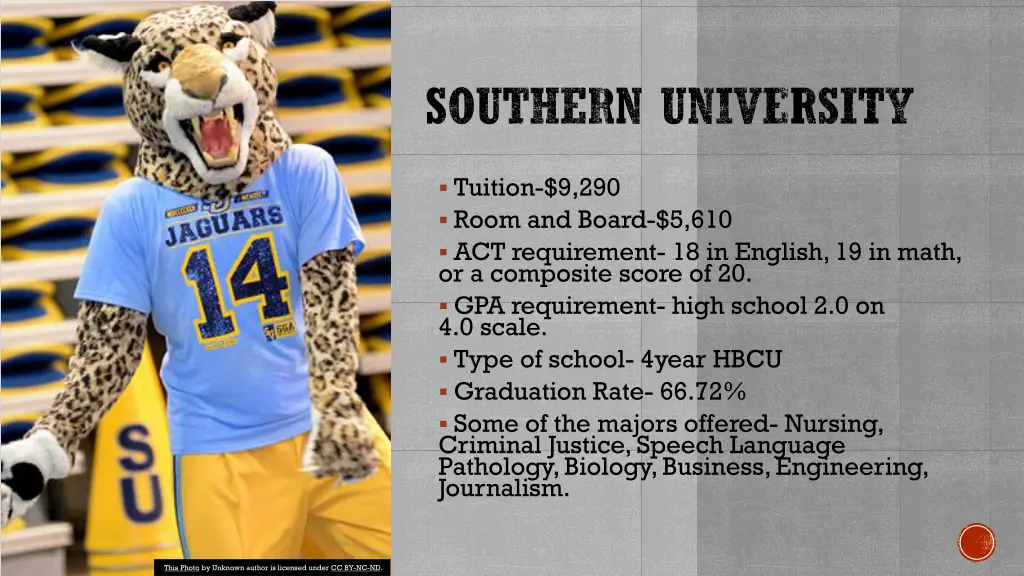 southern university