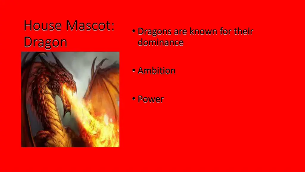 house mascot dragon