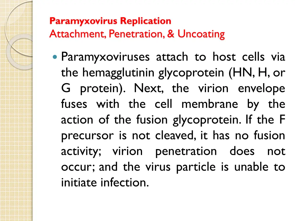 paramyxovirus replication attachment penetration