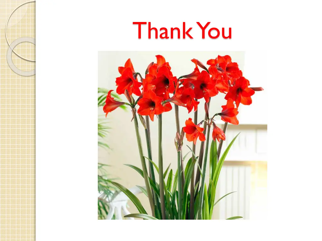 thank you