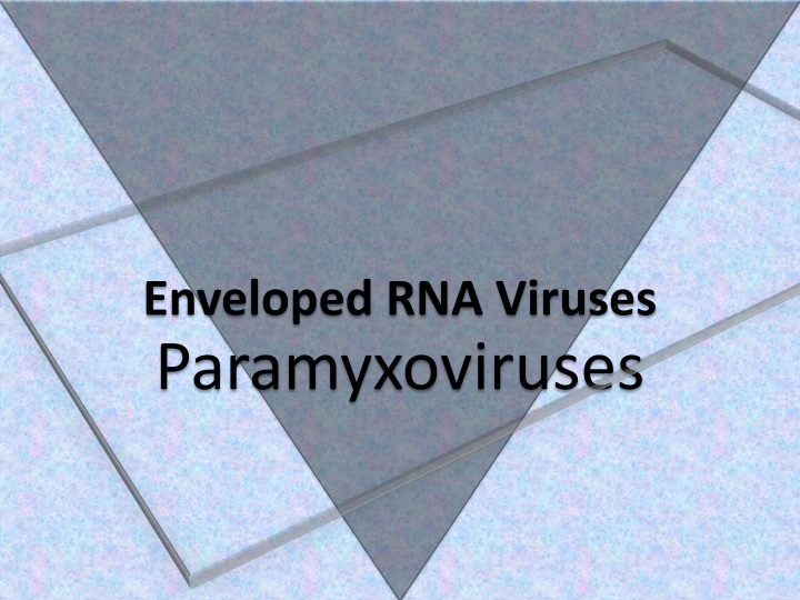enveloped rna viruses paramyxoviruses