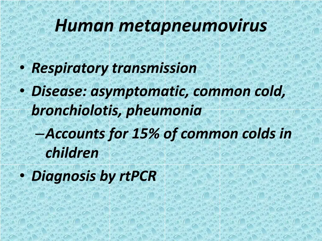 human metapneumovirus