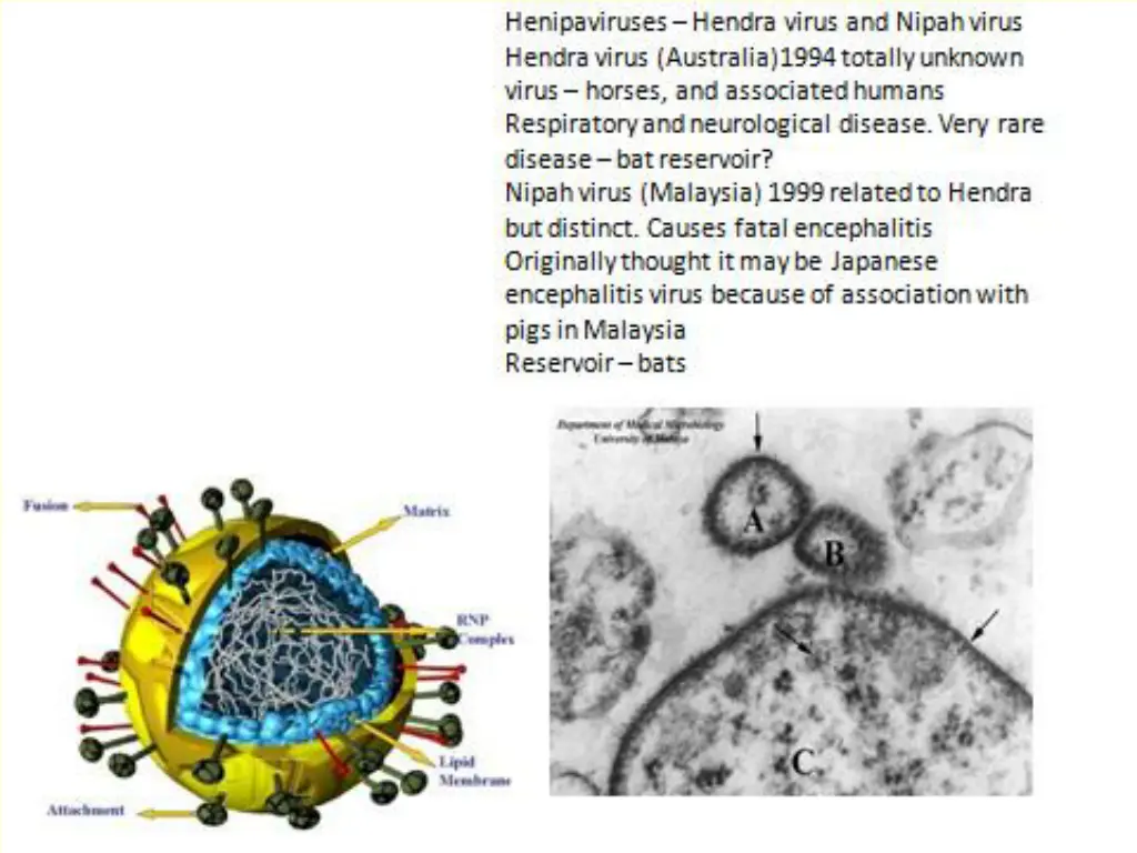 slide35