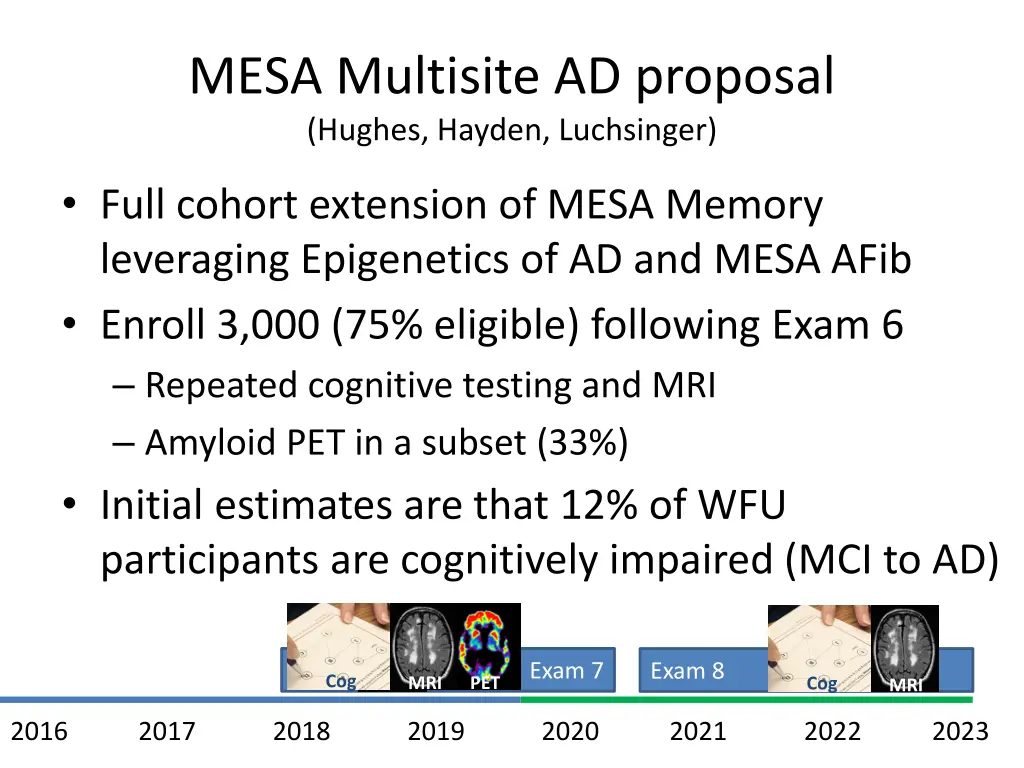 mesa multisite ad proposal hughes hayden