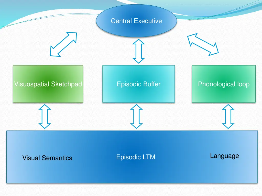 central executive