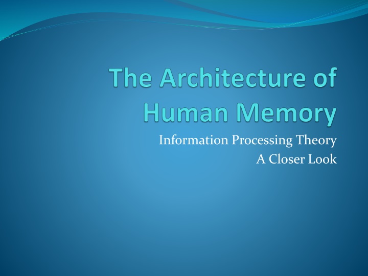 information processing theory