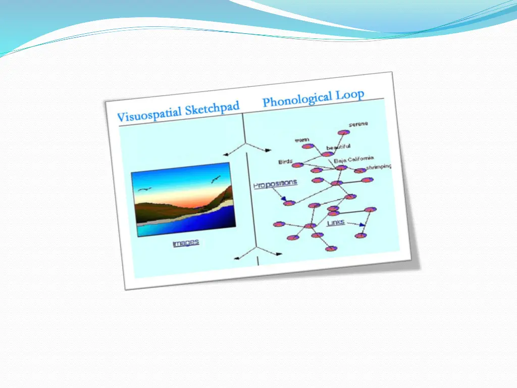 slide19