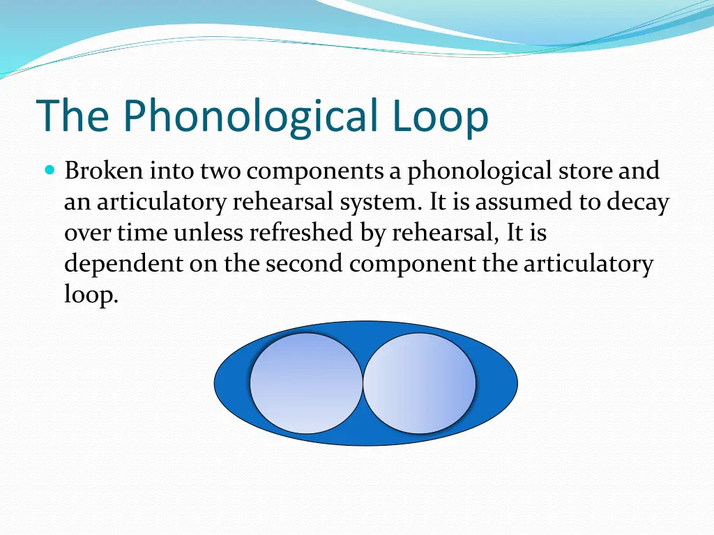 the phonological loop