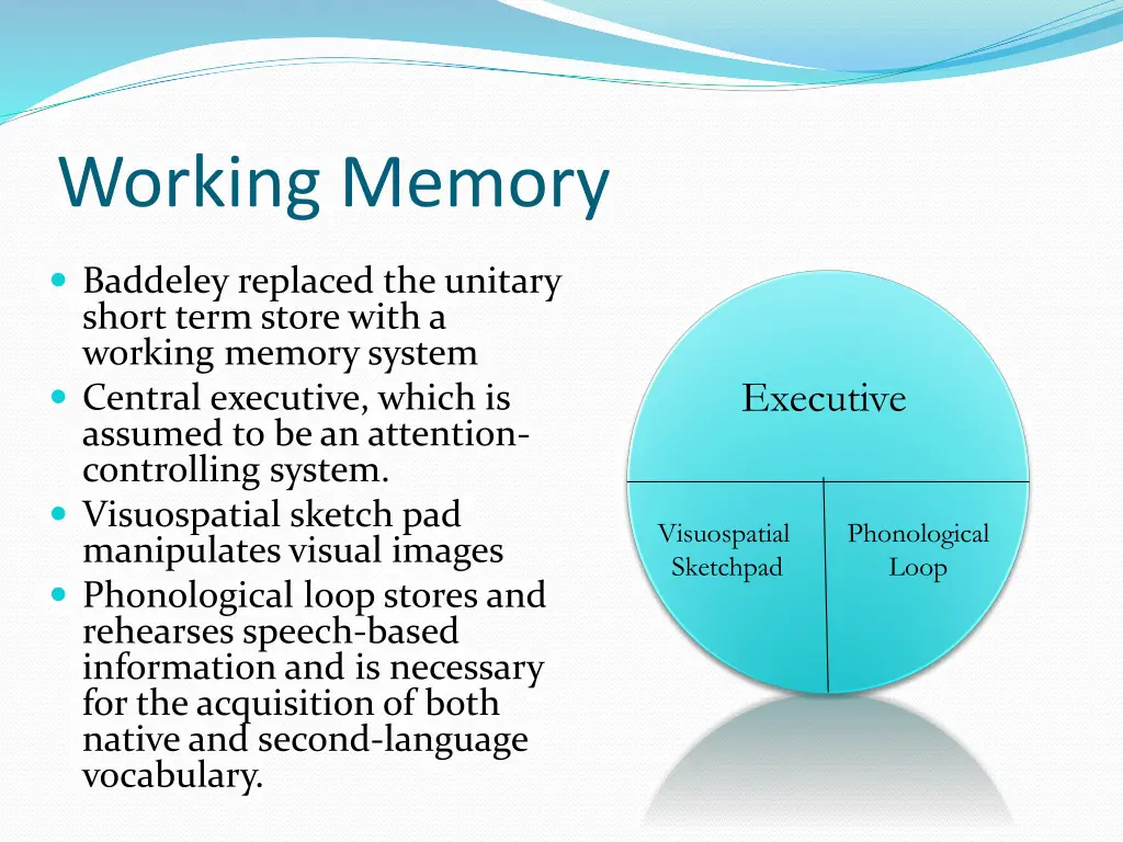 working memory