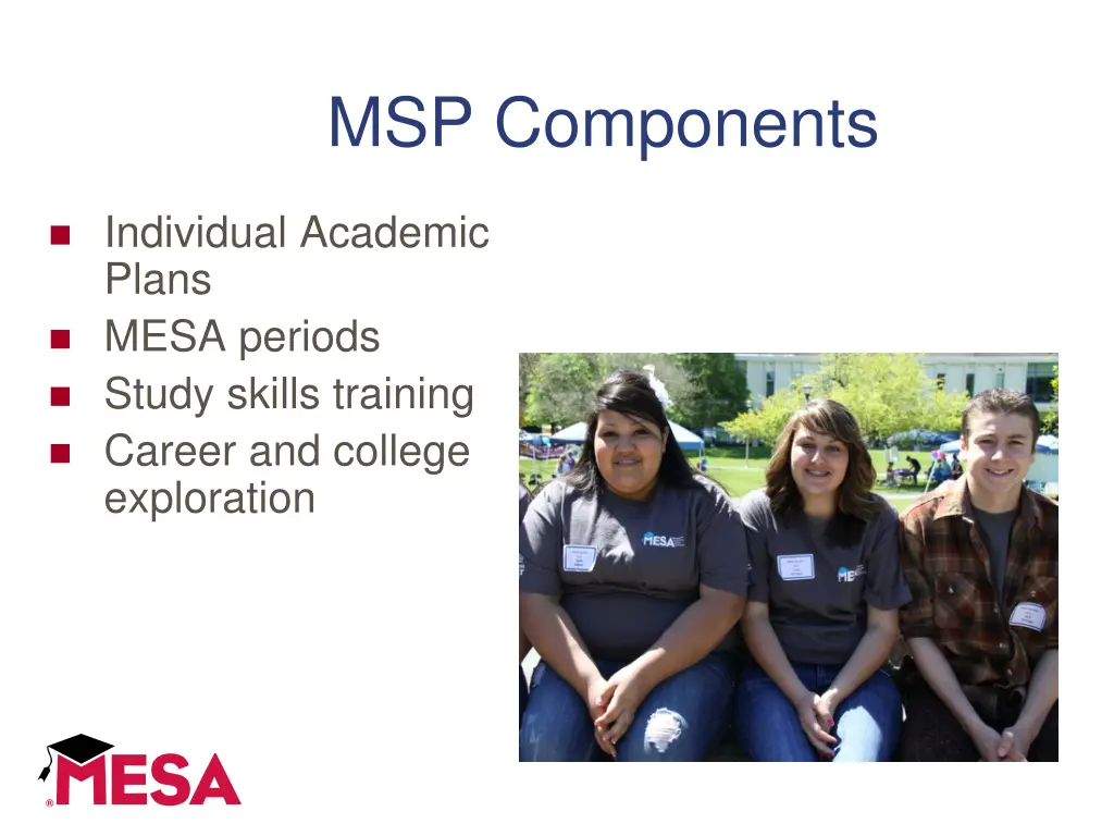 msp components