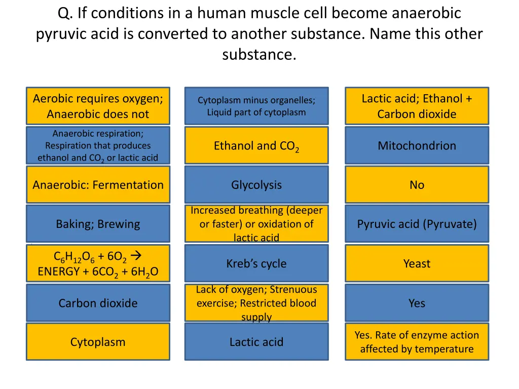 q if conditions in a human muscle cell become