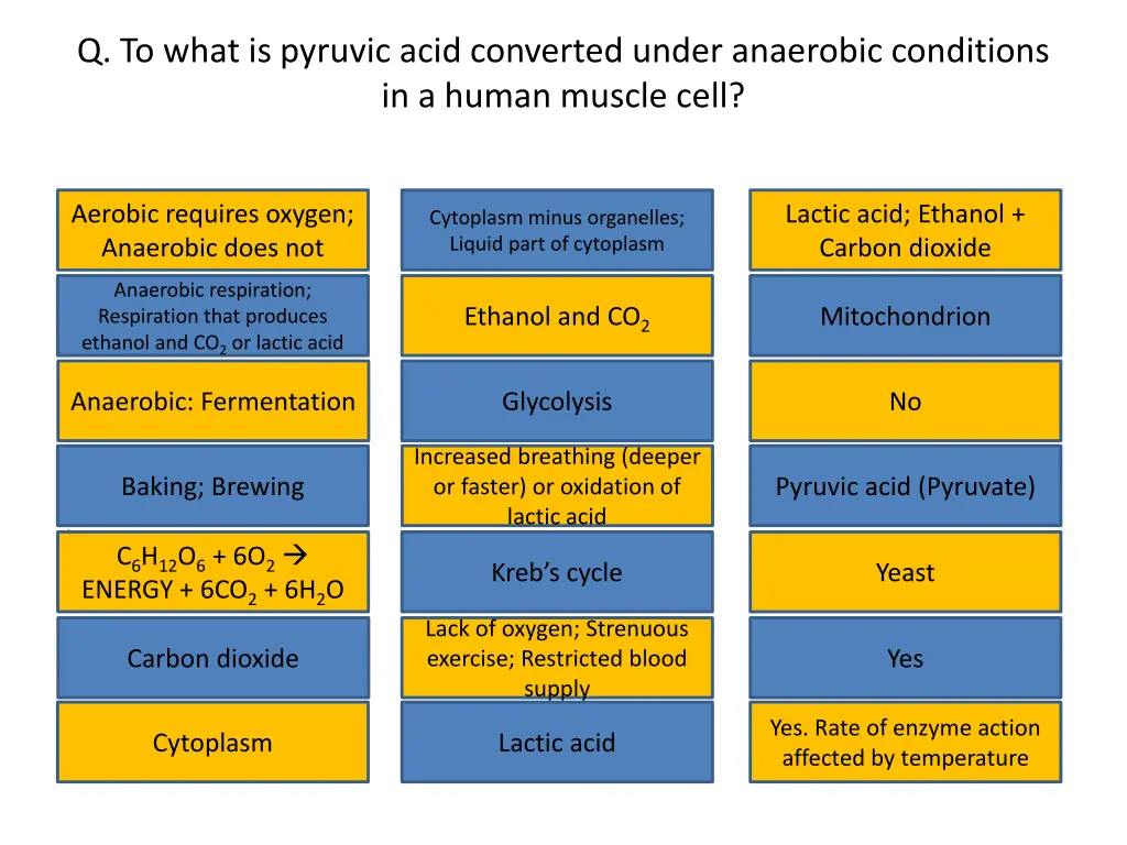q to what is pyruvic acid converted under 1