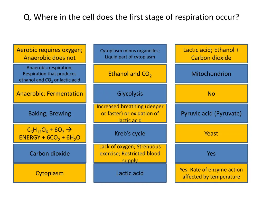 q where in the cell does the first stage