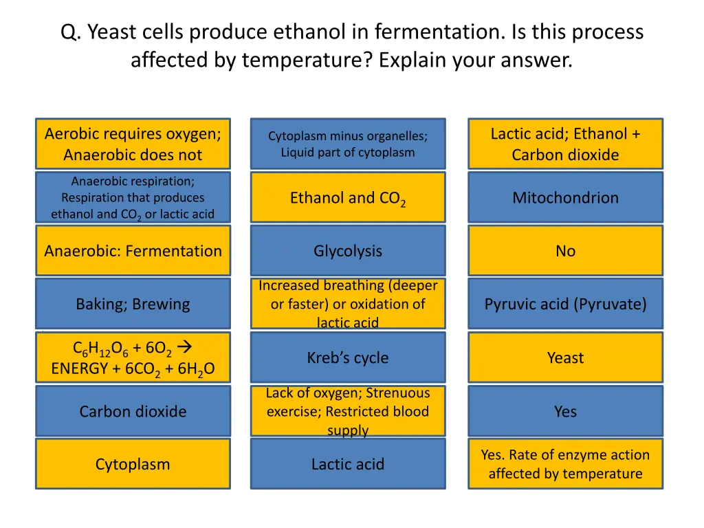 q yeast cells produce ethanol in fermentation