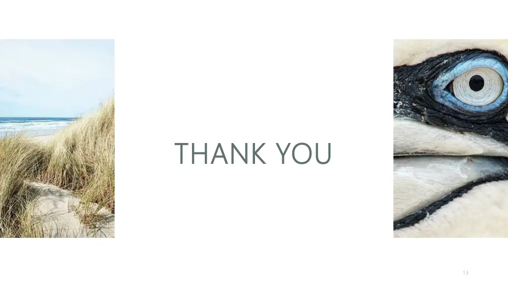 thank you thank you