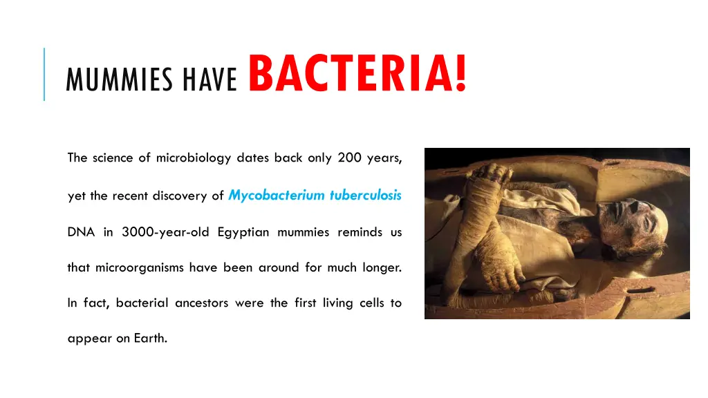 mummies have bacteria