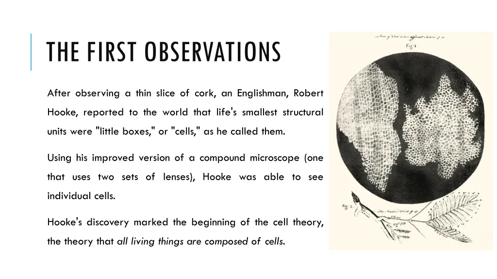 the first observations